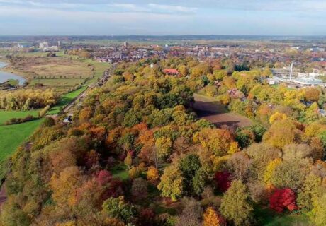 Publicatie Boek Westberg